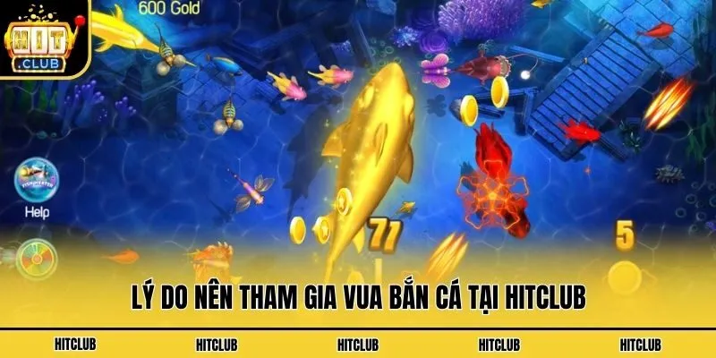 Lý do nên tham gia Vua bắn cá tại Hitclub